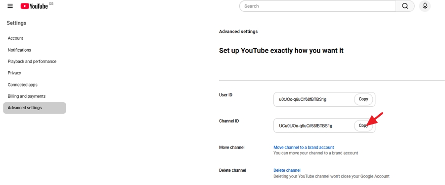 Find Your Channel ID