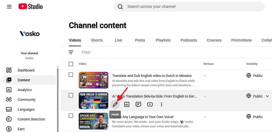 edit your chosen video