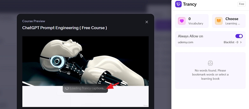 load the translated subtitles